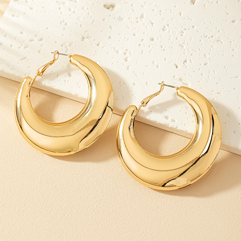 1 Pair Ig Style Simple Style Commute Round Plating Alloy Hoop Earrings display picture 13