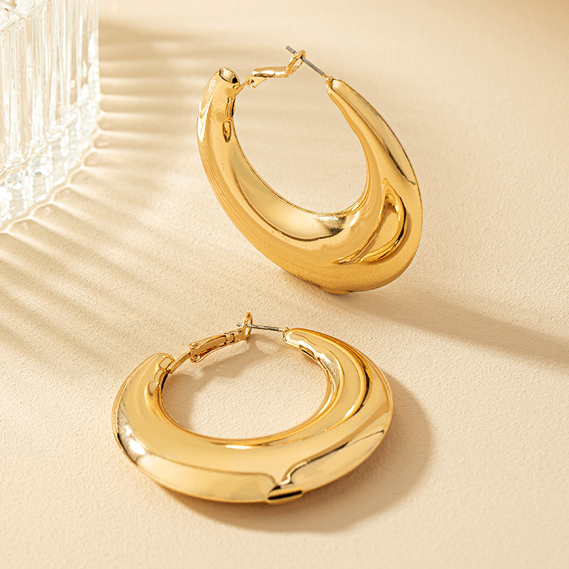 1 Pair Ig Style Simple Style Commute Round Plating Alloy Hoop Earrings display picture 14