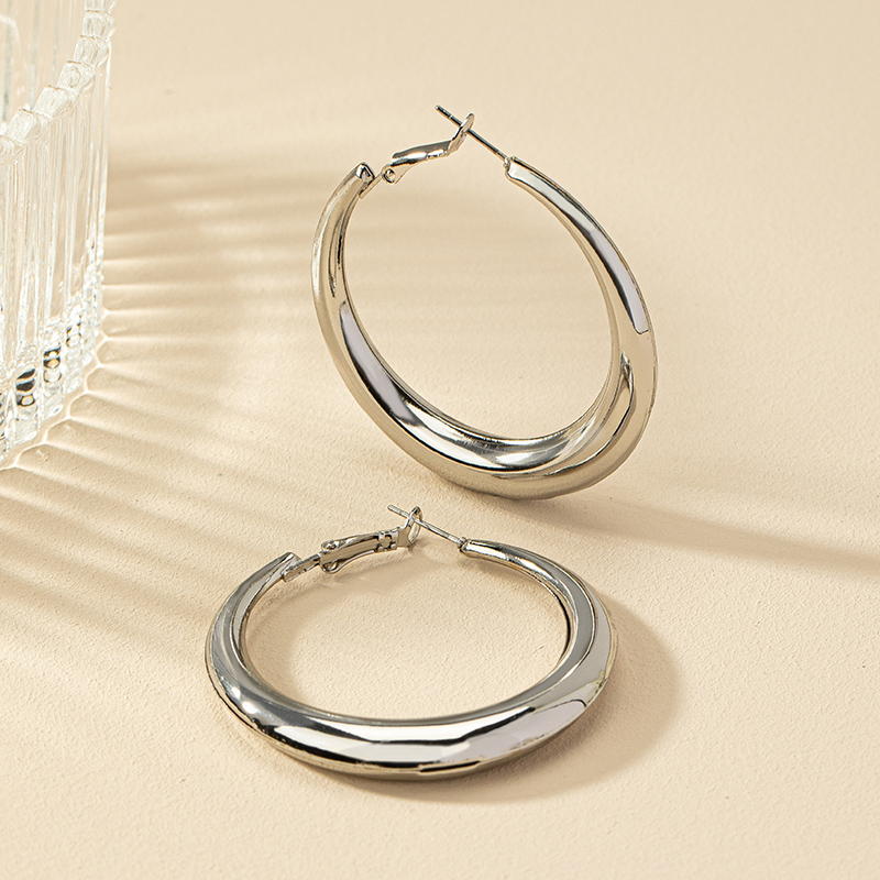 1 Pair Ig Style Simple Style Commute Round Plating Alloy Hoop Earrings display picture 5
