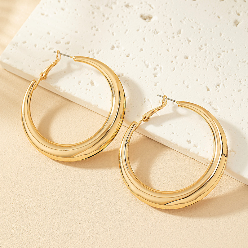 1 Pair Ig Style Simple Style Commute Round Plating Alloy Hoop Earrings display picture 3