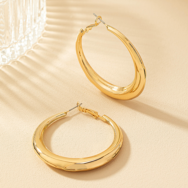 1 Pair Simple Style Commute Round Plating Alloy Gold Plated Hoop Earrings display picture 8