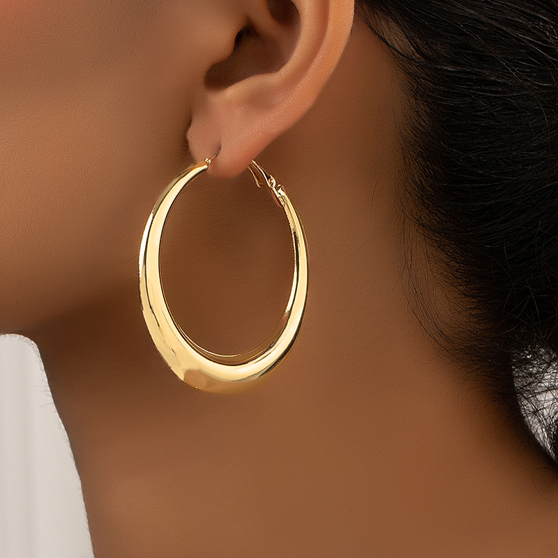 1 Pair Ig Style Simple Style Commute Round Plating Alloy Hoop Earrings display picture 7