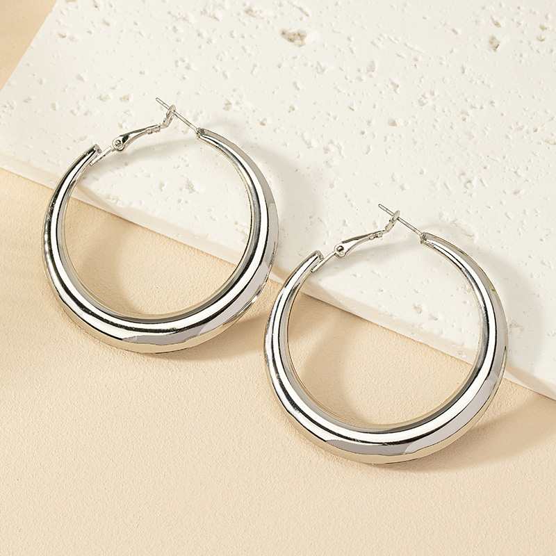 1 Pair Ig Style Simple Style Commute Round Plating Alloy Hoop Earrings display picture 2
