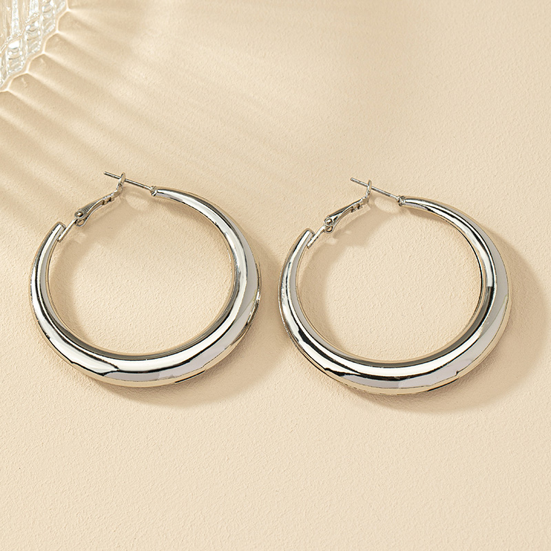 1 Pair Ig Style Simple Style Commute Round Plating Alloy Hoop Earrings display picture 10