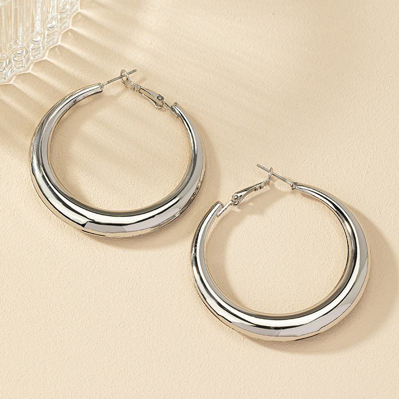 1 Pair Ig Style Simple Style Commute Round Plating Alloy Hoop Earrings display picture 9