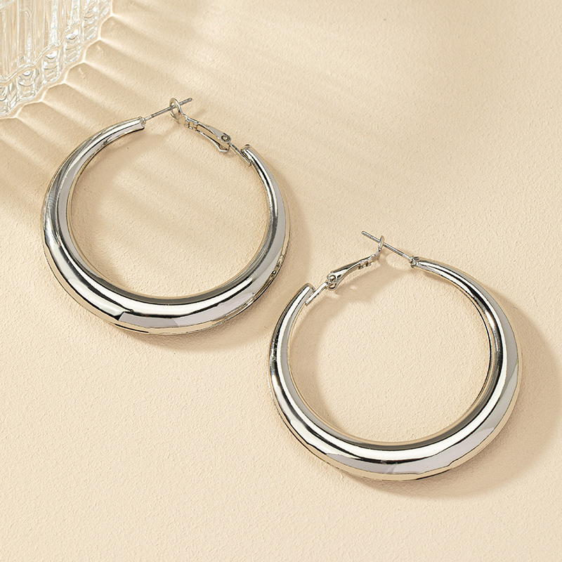 1 Pair Simple Style Commute Round Plating Alloy Gold Plated Hoop Earrings display picture 5