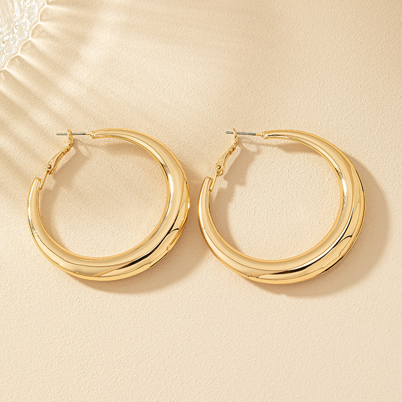 1 Pair Ig Style Simple Style Commute Round Plating Alloy Hoop Earrings display picture 8