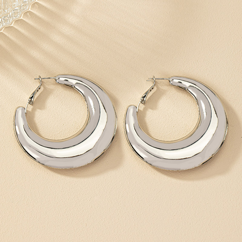 1 Pair Ig Style Simple Style Commute Round Plating Alloy Hoop Earrings display picture 18
