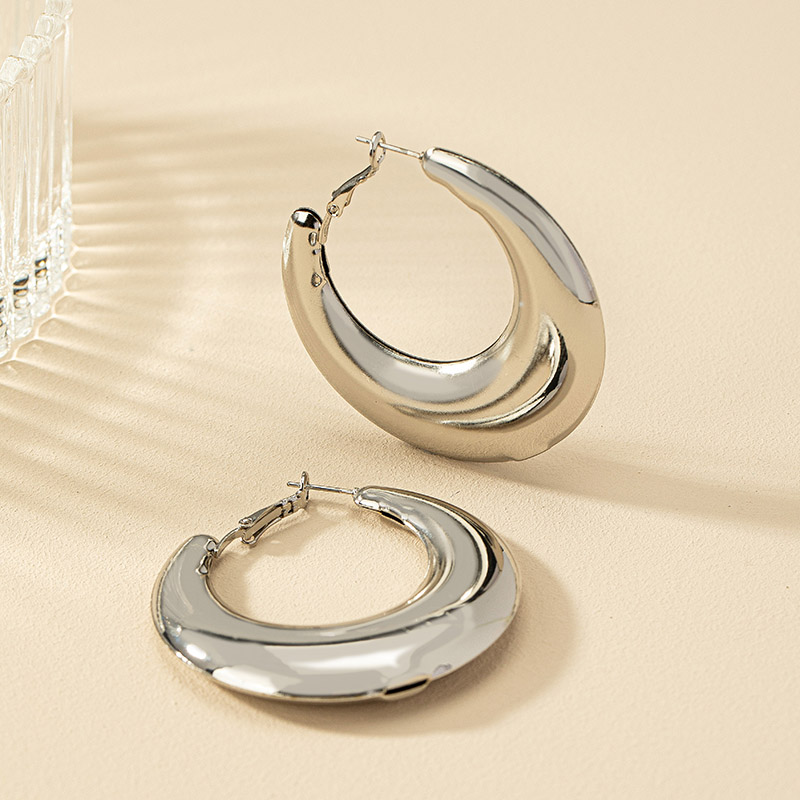 1 Pair Ig Style Simple Style Commute Round Plating Alloy Hoop Earrings display picture 15