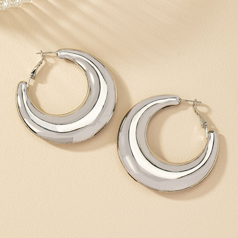 1 Pair Ig Style Simple Style Commute Round Plating Alloy Hoop Earrings display picture 16