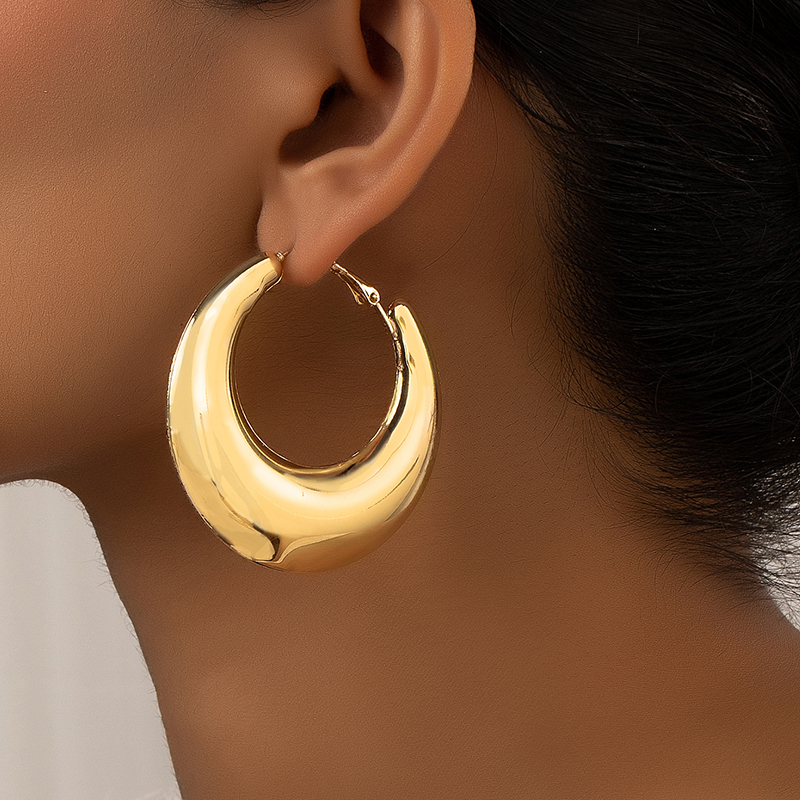 1 Pair Ig Style Simple Style Commute Round Plating Alloy Hoop Earrings display picture 19