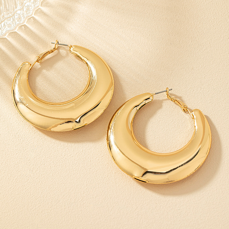 1 Pair Ig Style Simple Style Commute Round Plating Alloy Hoop Earrings display picture 17