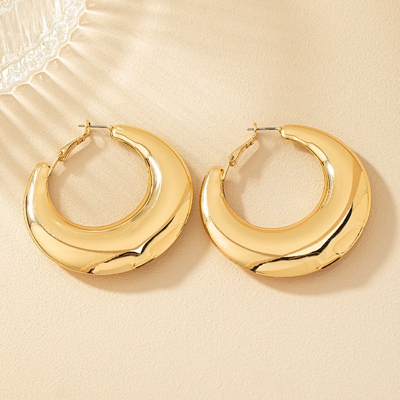 1 Pair Ig Style Simple Style Commute Round Plating Alloy Hoop Earrings display picture 20