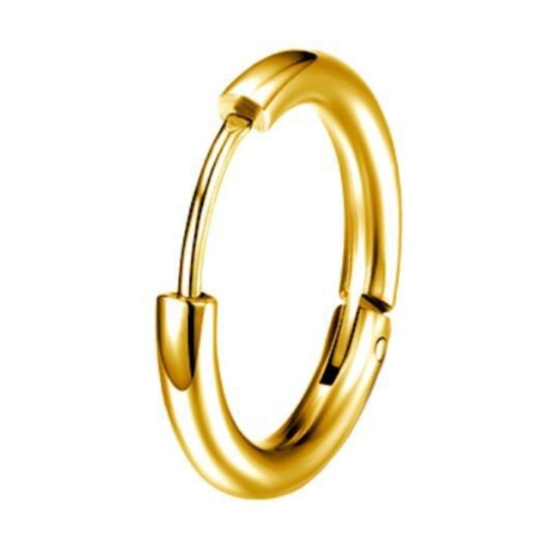 1 Piece Simple Style Circle Plating 304 Stainless Steel Gold Plated Silver Plated Earrings display picture 7