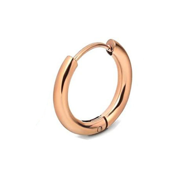 1 Piece Simple Style Circle Plating 304 Stainless Steel Gold Plated Silver Plated Earrings display picture 8