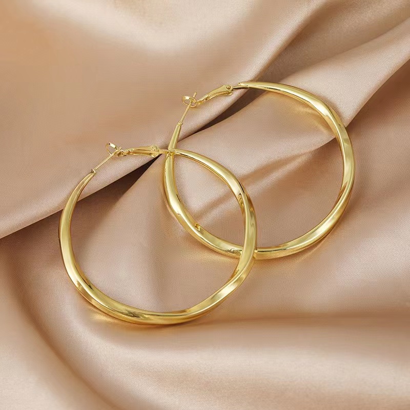 1 Pair Casual Modern Style Round Plating Alloy Gold Plated Hoop Earrings Earrings display picture 2