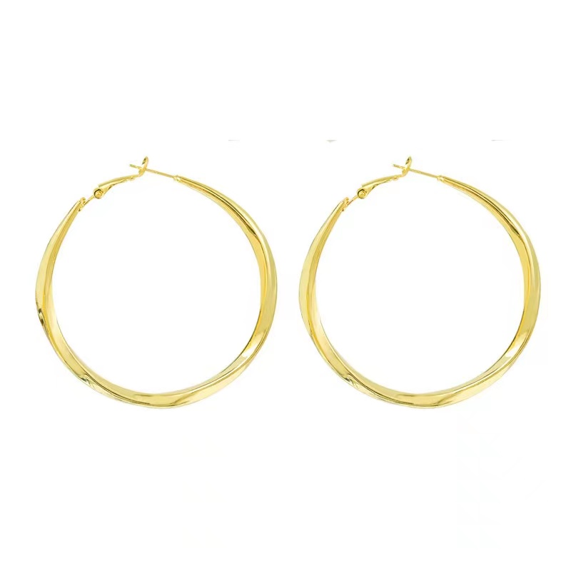1 Pair Casual Modern Style Round Plating Alloy Gold Plated Hoop Earrings Earrings display picture 1