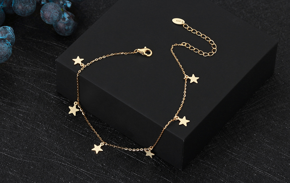 Elegant Beach Star Sterling Silver Plating Chain 14k Gold Plated White Gold Plated Silver Plated Women's Anklet display picture 3