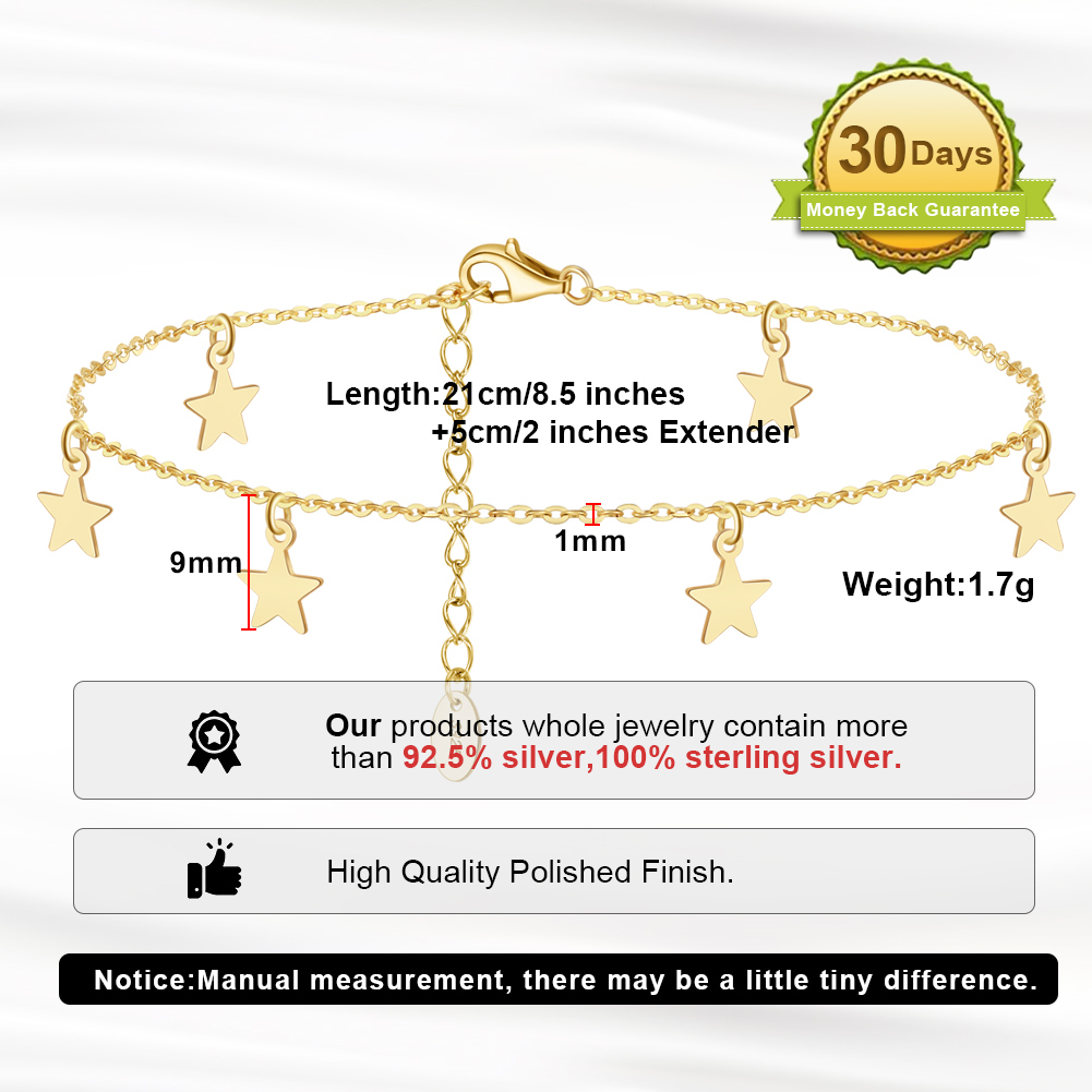 Elegant Beach Star Sterling Silver Plating Chain 14k Gold Plated White Gold Plated Silver Plated Women's Anklet display picture 5