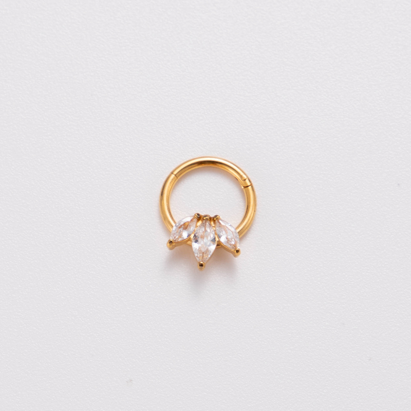 1 Piece Nose Rings & Studs Punk Solid Color 316 Stainless Steel  Copper Plating Inlay Zircon display picture 4