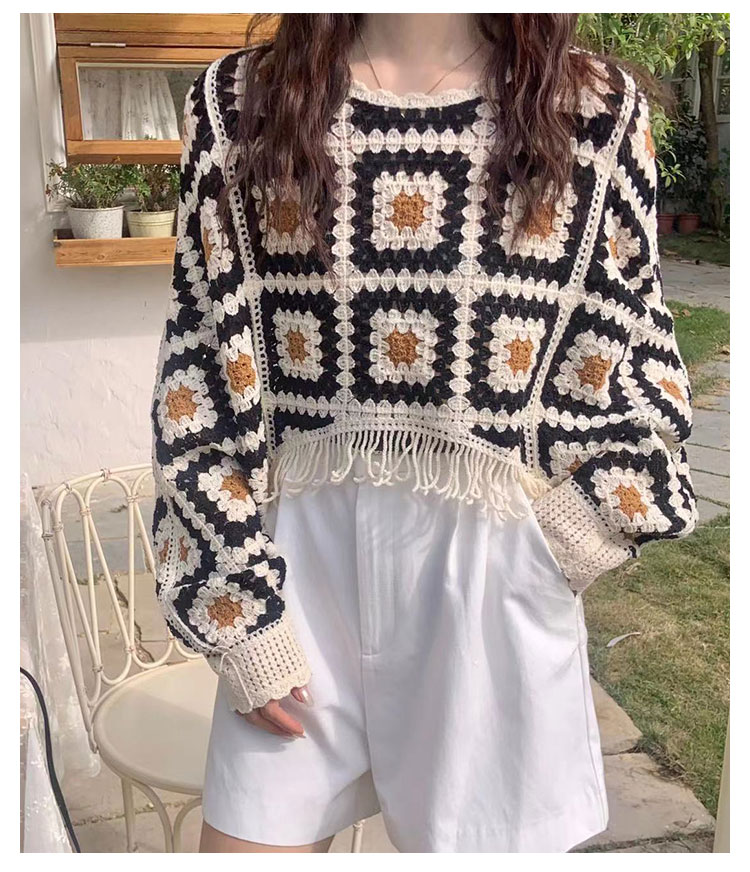 Women's Sweater Long Sleeve Sweaters & Cardigans Tassel Hollow Out Casual Geometric display picture 8