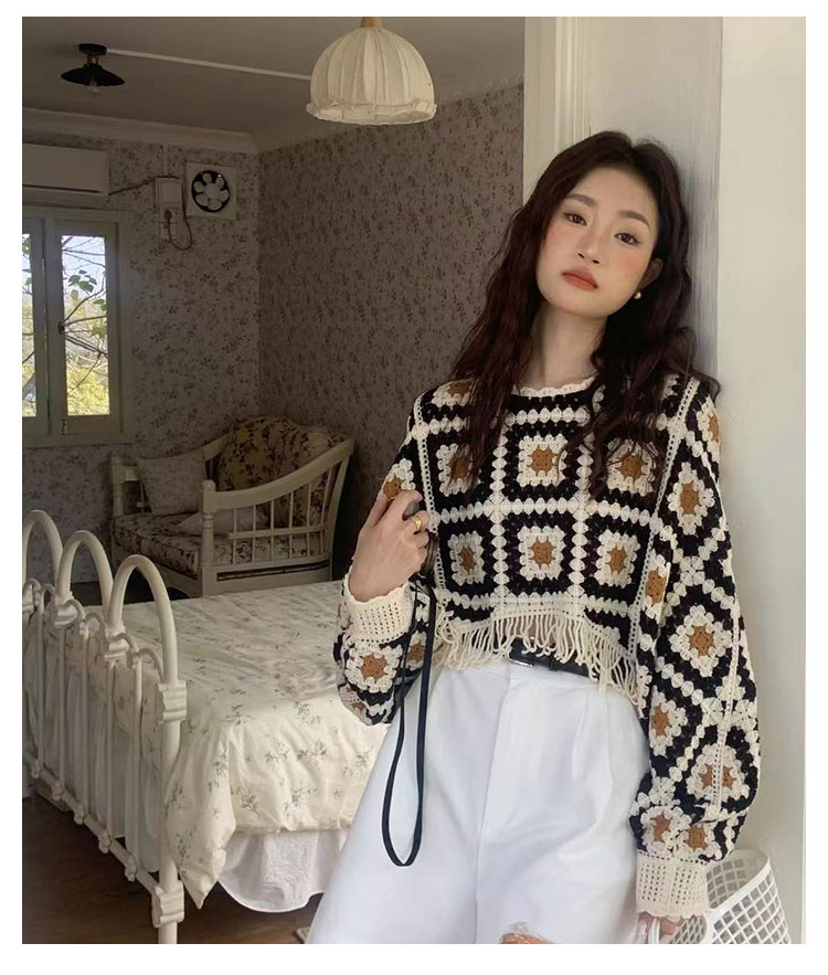 Women's Sweater Long Sleeve Sweaters & Cardigans Tassel Hollow Out Casual Geometric display picture 10