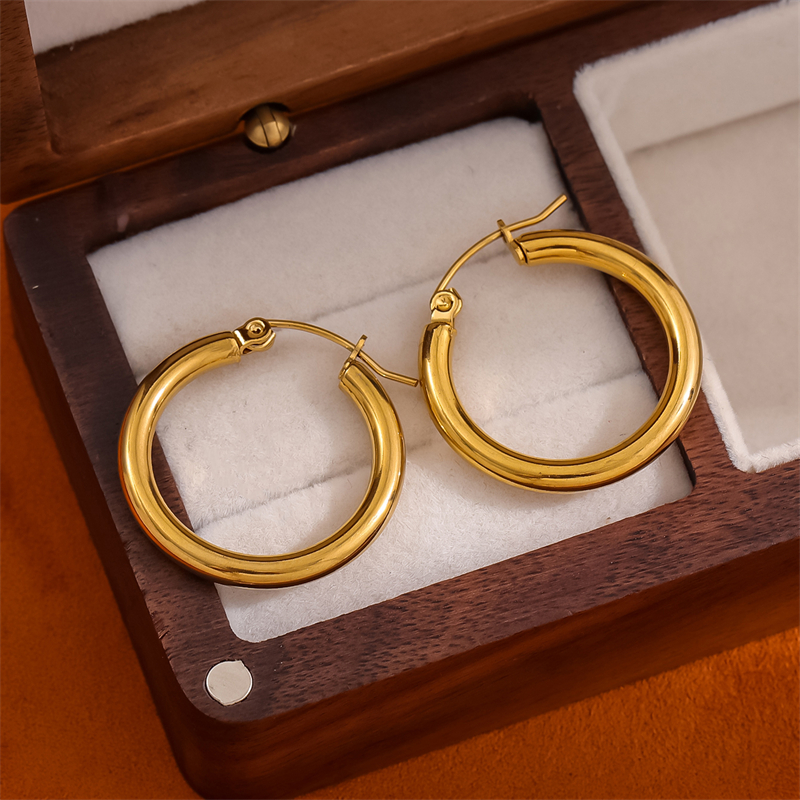 1 Pair Retro Simple Style Round Plating Stainless Steel 18K Gold Plated Hoop Earrings display picture 4