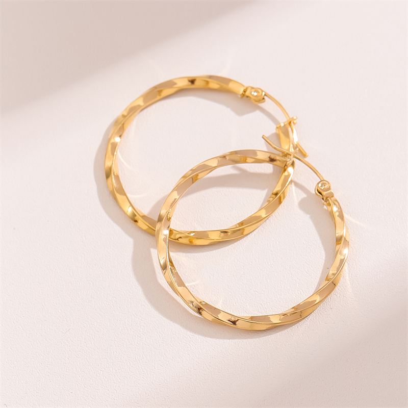 1 Pair Retro Simple Style Round Plating Stainless Steel 18K Gold Plated Hoop Earrings display picture 2