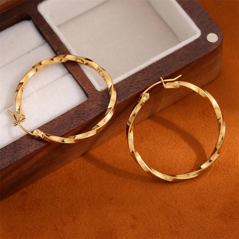1 Pair Retro Simple Style Round Plating Stainless Steel 18K Gold Plated Hoop Earrings display picture 5