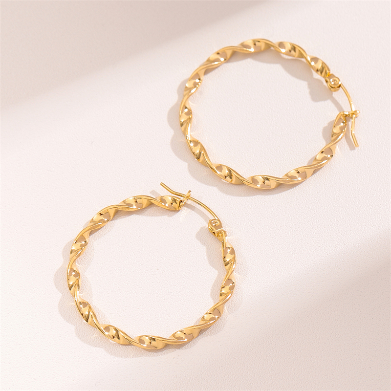 1 Pair Retro Simple Style Round Plating Stainless Steel 18K Gold Plated Hoop Earrings display picture 7