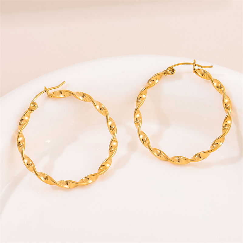 1 Pair Retro Simple Style Round Plating Stainless Steel 18K Gold Plated Hoop Earrings display picture 6