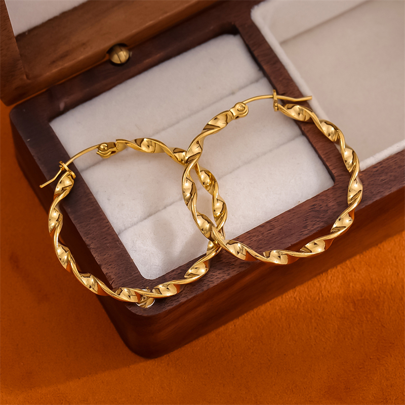 1 Pair Retro Simple Style Round Plating Stainless Steel 18K Gold Plated Hoop Earrings display picture 8