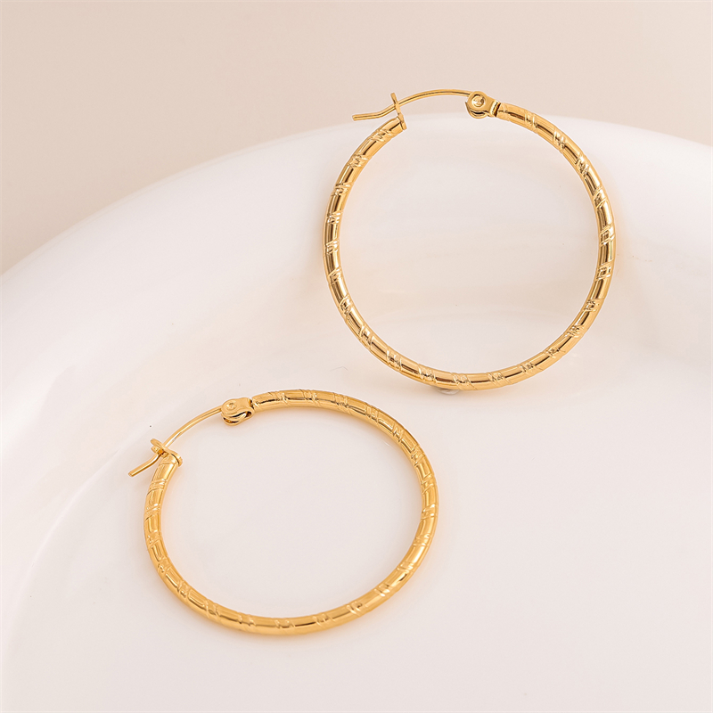 1 Pair Retro Simple Style C Shape Round Plating Stainless Steel 18K Gold Plated Hoop Earrings display picture 8