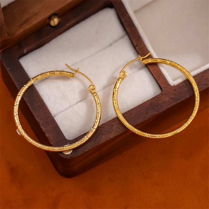 1 Pair Retro Simple Style C Shape Round Plating Stainless Steel 18K Gold Plated Hoop Earrings display picture 10