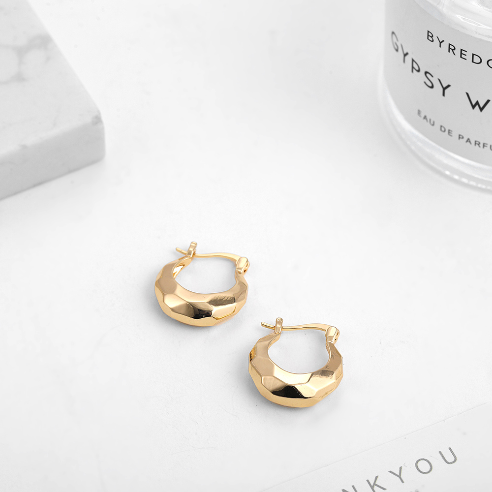 1 Pair Casual Lady Geometric Plating Alloy Earrings display picture 8