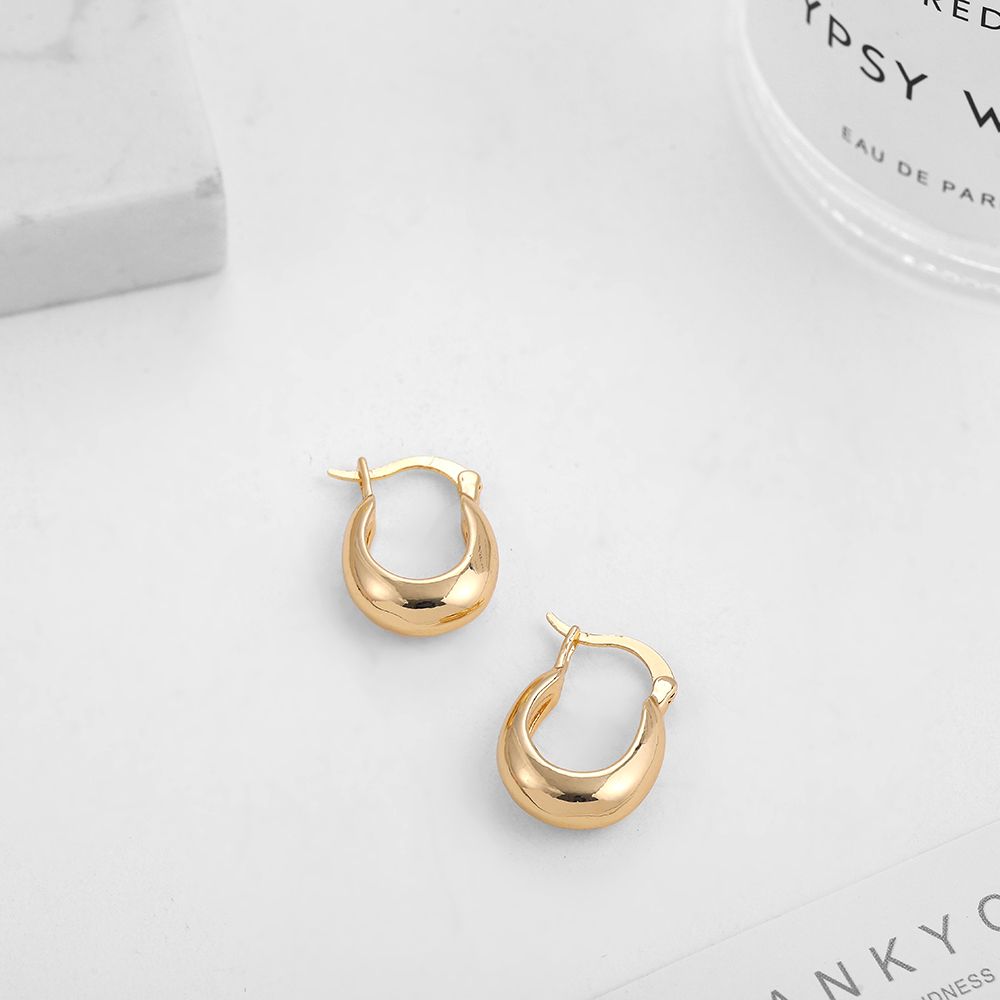 1 Pair Casual Lady Geometric Plating Alloy Earrings display picture 12