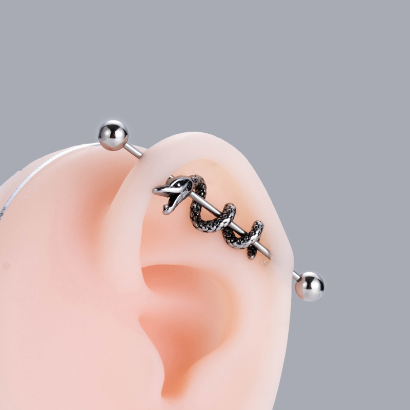 1 Piece Ear Cartilage Rings & Studs Modern Style Cool Style Heart Shape Snake 316 Stainless Steel  Copper Plating display picture 5