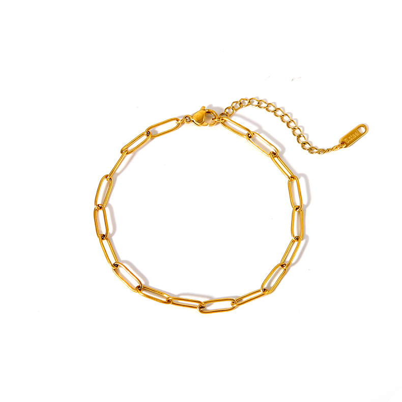 Modern Style British Style Solid Color 201 Stainless Steel Plating 18K Gold Plated Women's Anklet display picture 14