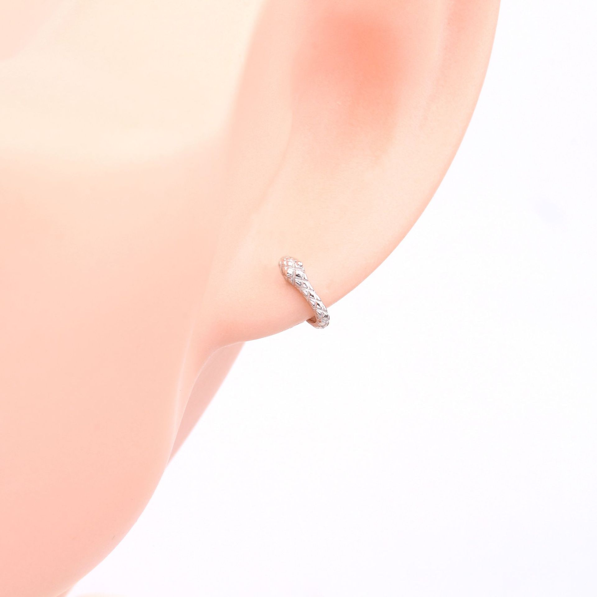 1 Pair Simple Style Snake Plating Sterling Silver Gold Plated Ear Studs display picture 10