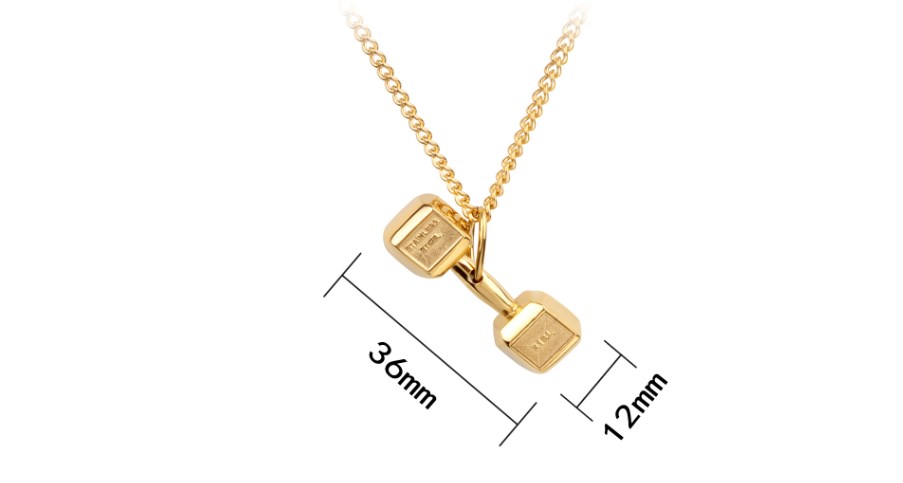Casual Barbell Titanium Steel Plating Pendant Necklace display picture 39
