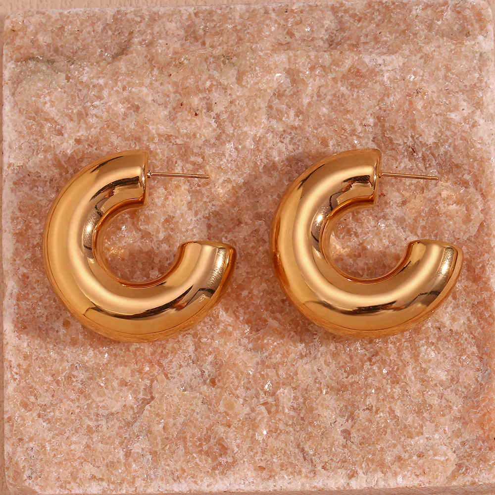 1 Pair Basic Simple Style Classic Style C Shape Plating Stainless Steel 18k Gold Plated Earrings display picture 14