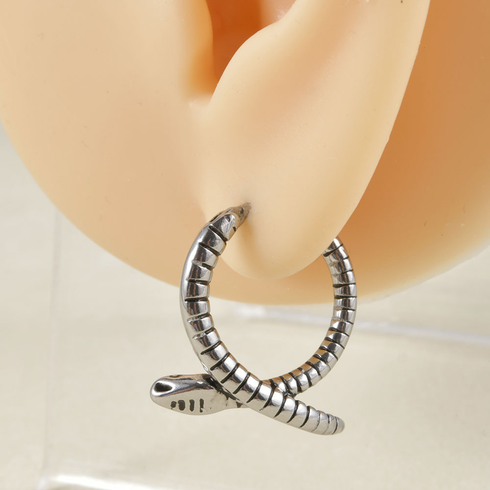 1 Piece Punk Snake Enamel Stainless Steel Earrings display picture 5