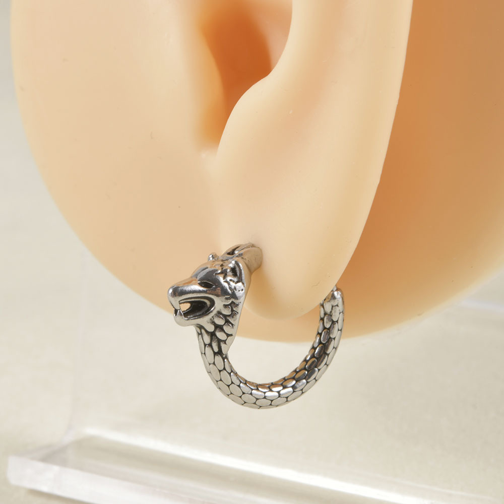 1 Piece Punk Snake Enamel Stainless Steel Earrings display picture 7