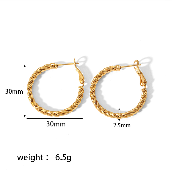 1 Pair Simple Style Circle Plating 304 Stainless Steel Hoop Earrings display picture 8