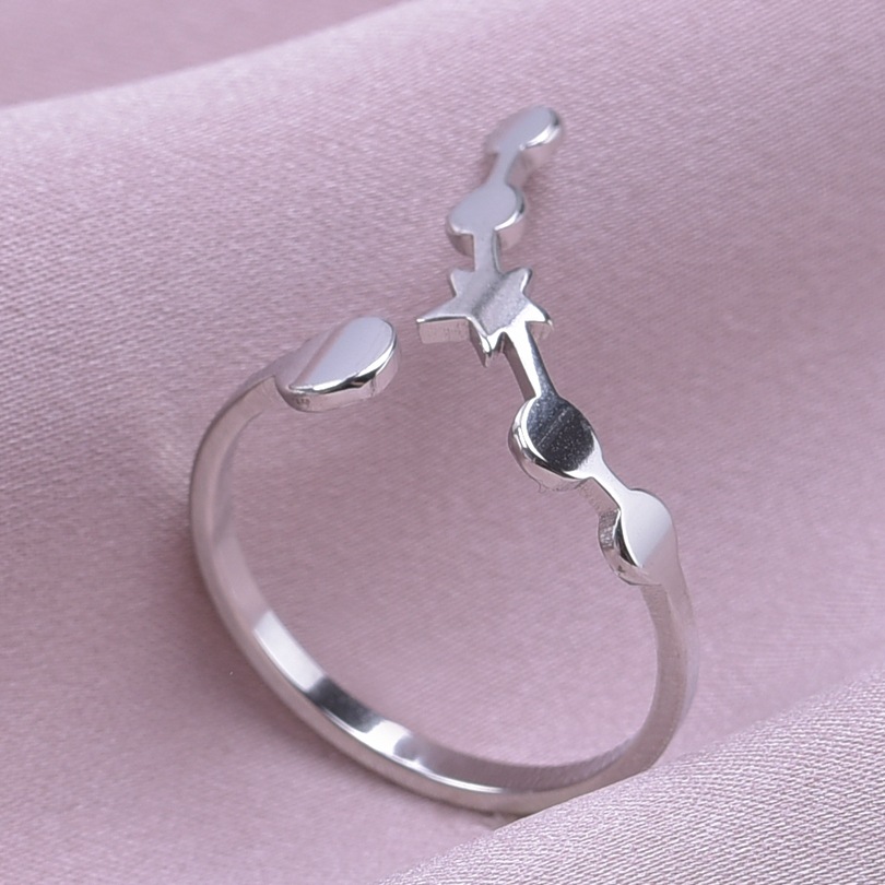 Retro Constellation Stainless Steel Polishing Open Rings display picture 9
