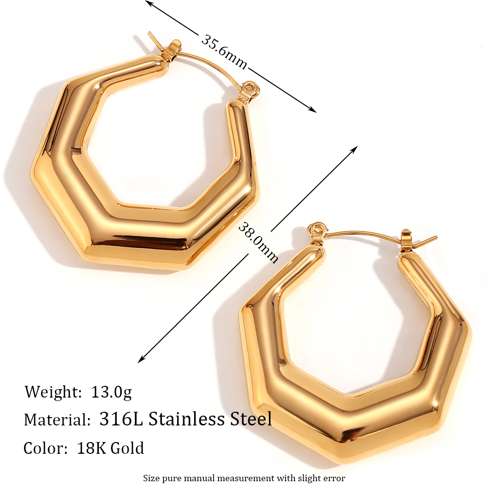 1 Pair Basic Simple Style Classic Style Geometric Plating Stainless Steel 18k Gold Plated Earrings display picture 2