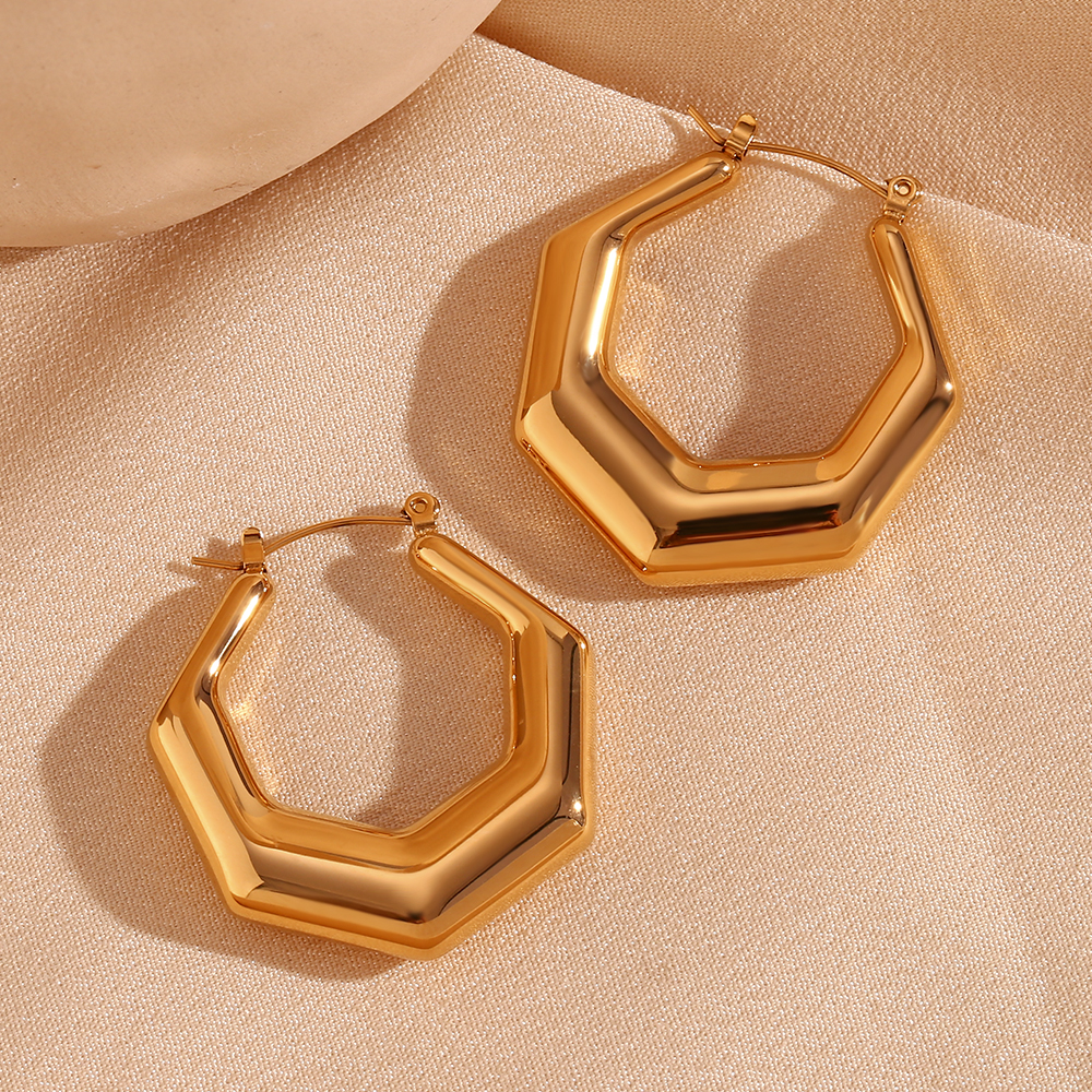 1 Pair Basic Simple Style Classic Style Geometric Plating Stainless Steel 18k Gold Plated Earrings display picture 1