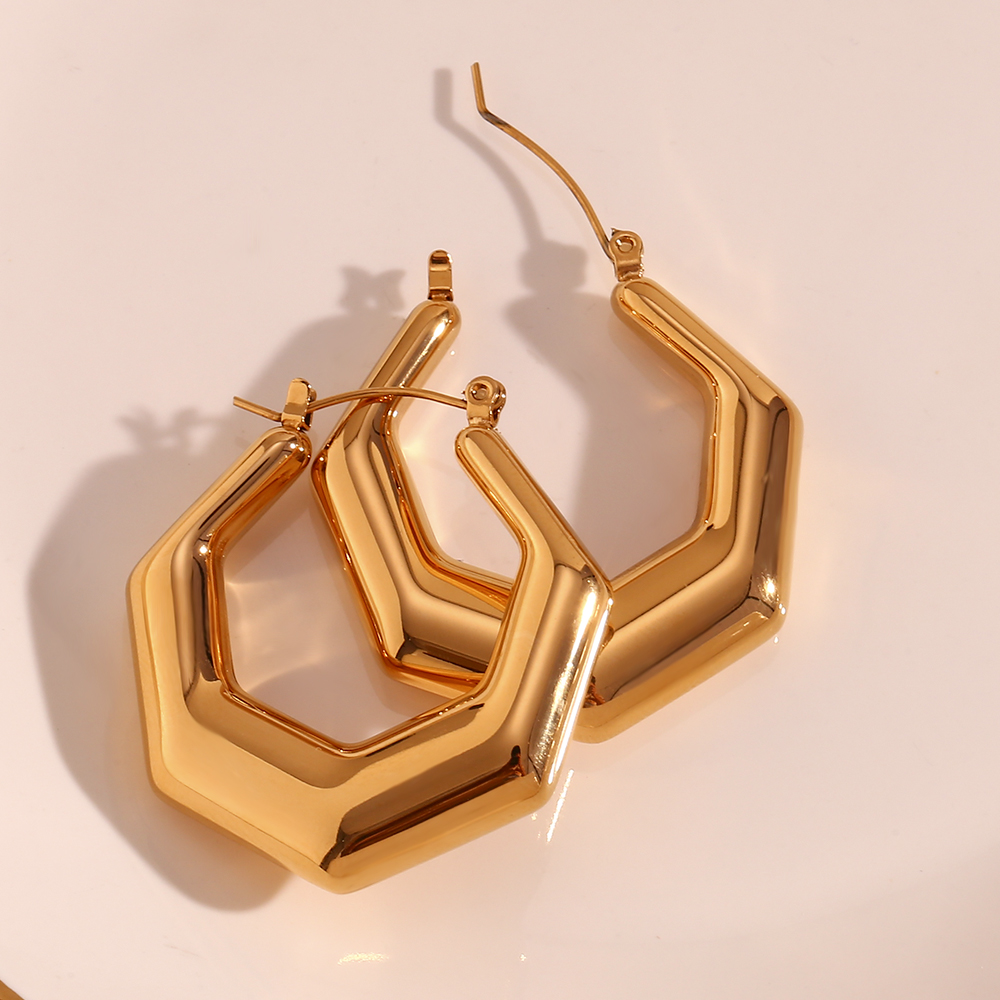 1 Pair Basic Simple Style Classic Style Geometric Plating Stainless Steel 18k Gold Plated Earrings display picture 7
