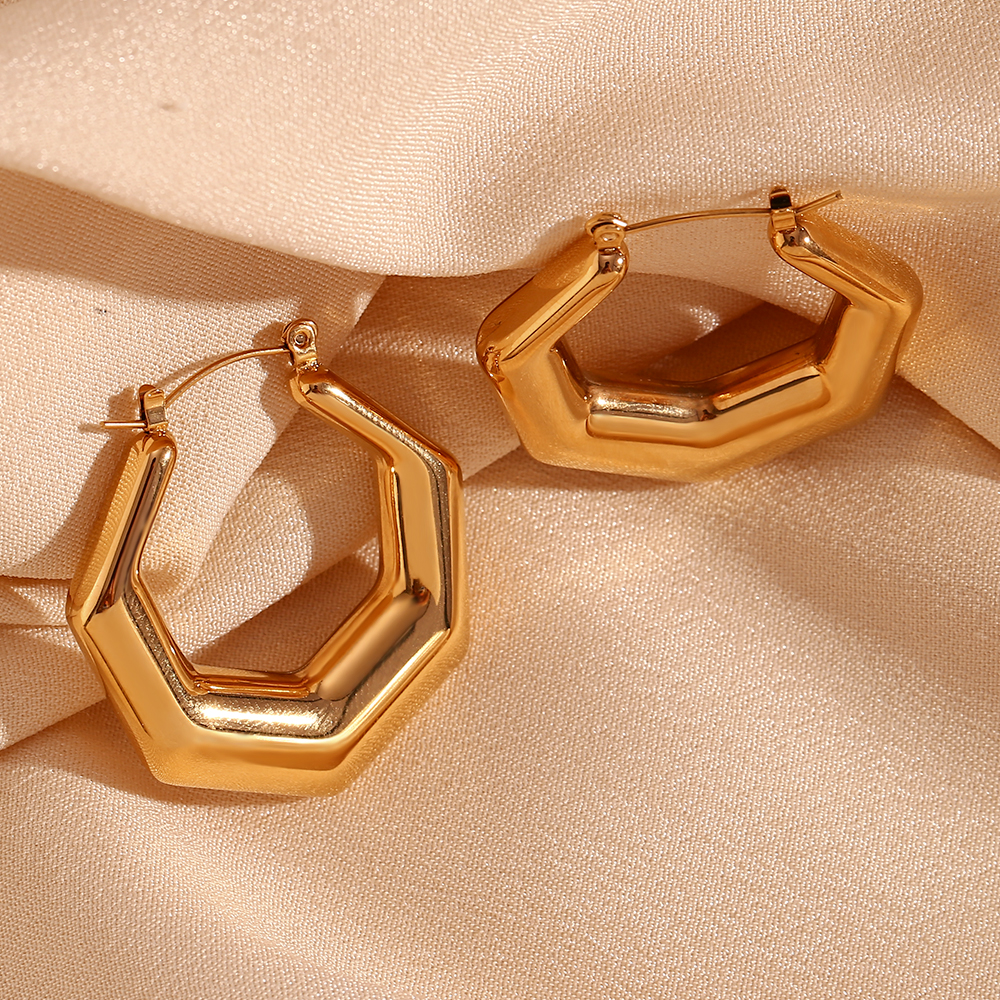1 Pair Basic Simple Style Classic Style Geometric Plating Stainless Steel 18k Gold Plated Earrings display picture 12