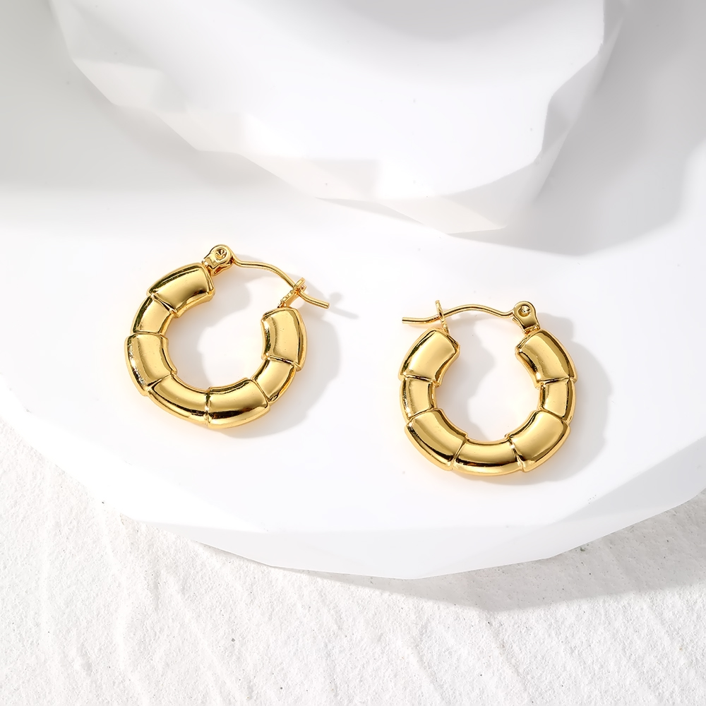 1 Pair Vintage Style Simple Style Classic Style Geometric Stainless Steel Earrings display picture 3